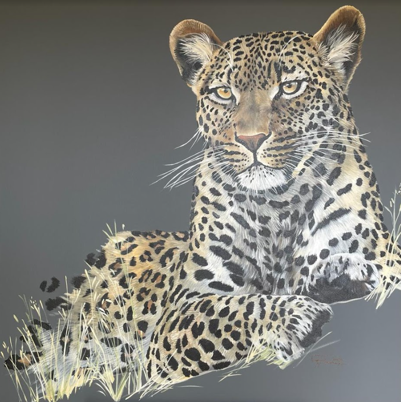 Leopard-Portrait-Study-II